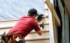 Best Custom Trim and Detailing for Siding  in Paradise, NV